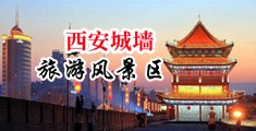 爱草比视频中国陕西-西安城墙旅游风景区