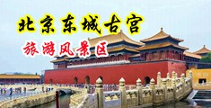 鸡巴日逼视频免费看污污污中国北京-东城古宫旅游风景区